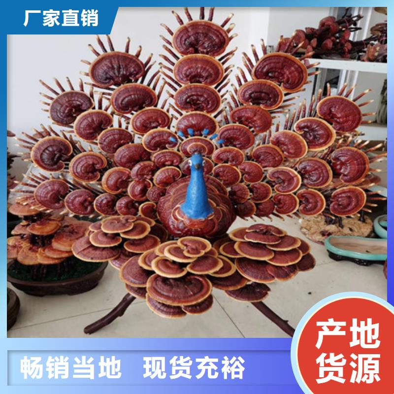 
孢子靈芝天天低價(jià)