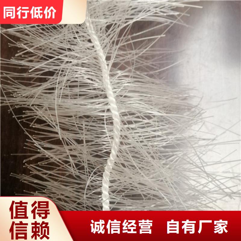 弹性填料 净水pac实地大厂