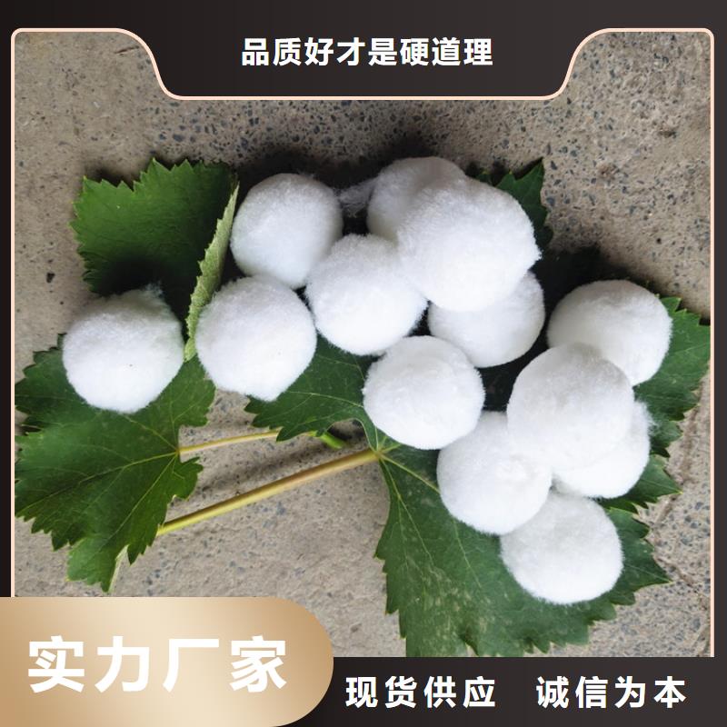 纖維球蜂窩活性炭規(guī)格齊全實力廠家