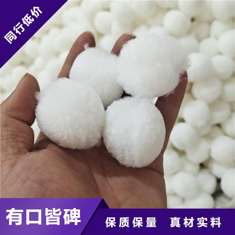 纖維球蜂窩活性炭規(guī)格齊全實力廠家