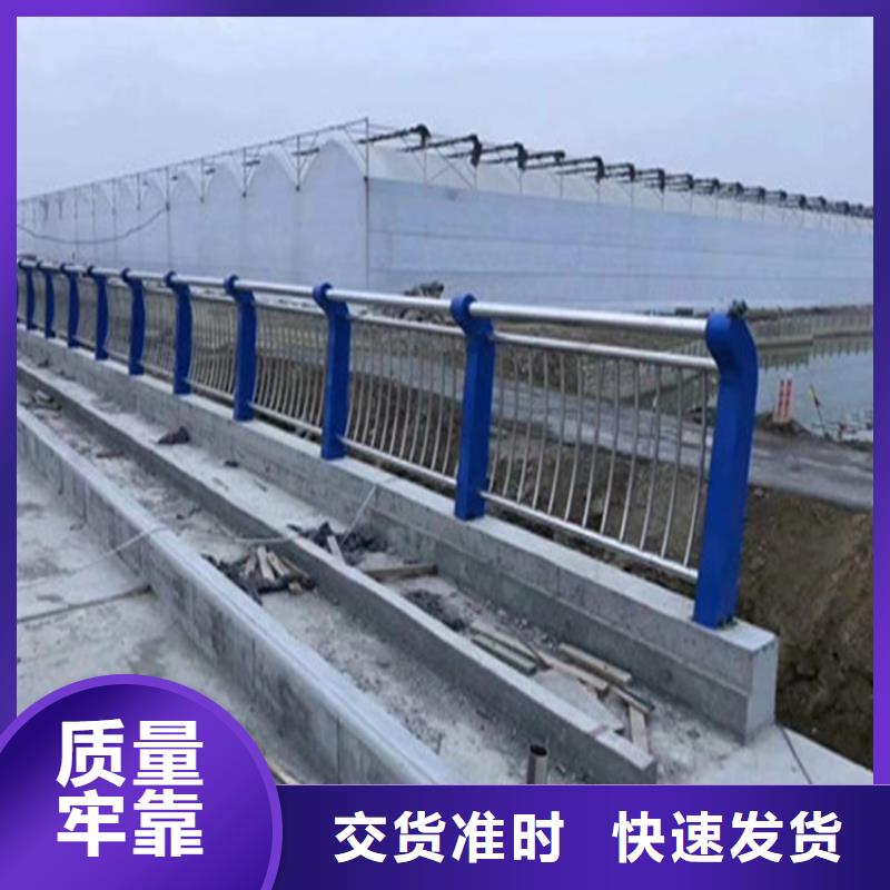 桥梁静电喷塑防撞护栏造型别致