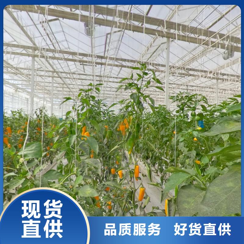 大棚管溫室大棚管來(lái)圖來(lái)樣定制