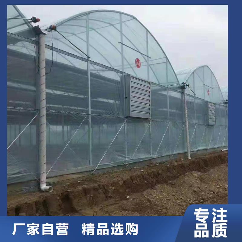 大棚管农业养殖大棚管质检严格放心品质