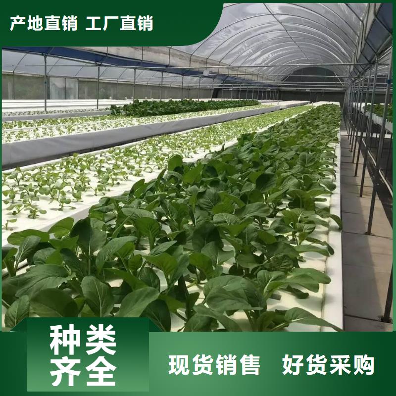 大棚管溫室骨架大棚管信譽至上
