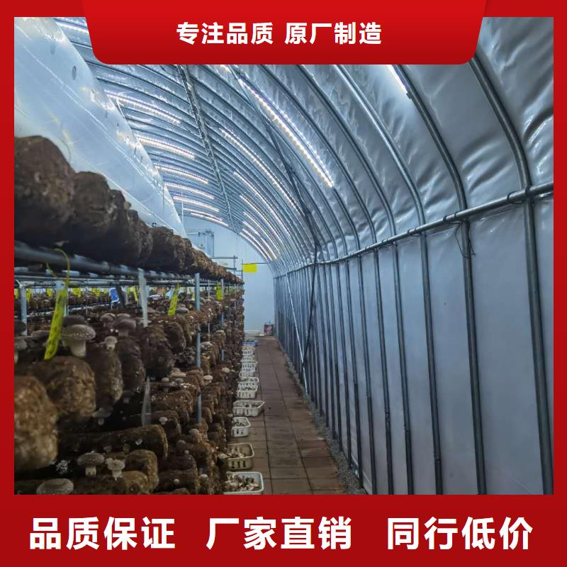 國強大棚骨架機來廠考察2025