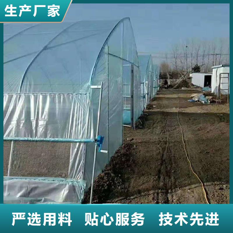 定尺蔬菜大棚管加工