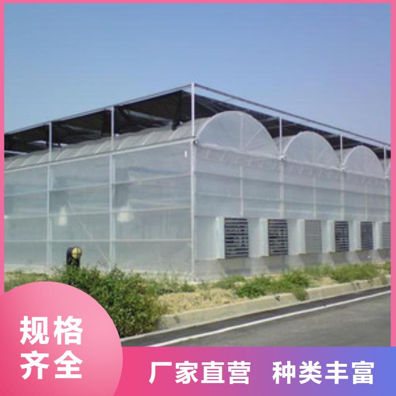 大棚管溫室大棚管合作共贏