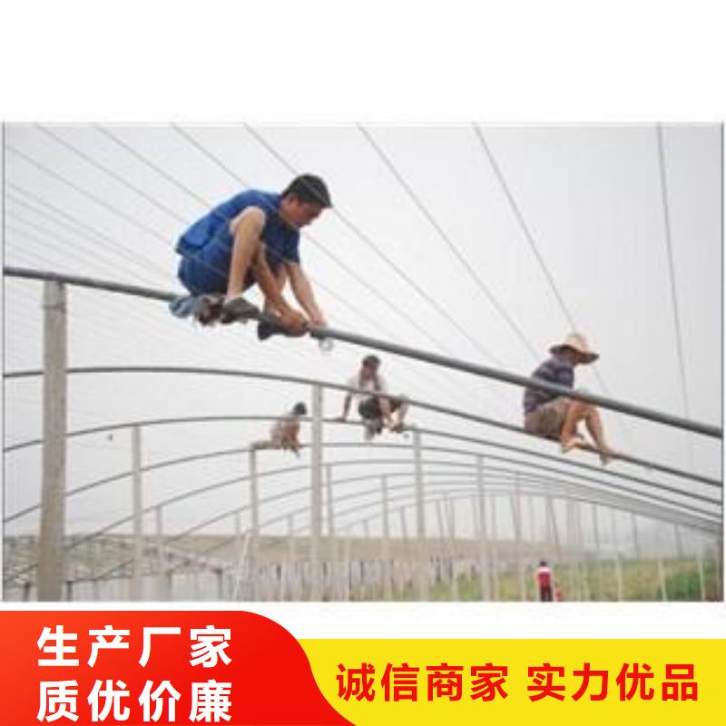 定尺蔬菜大棚管加工