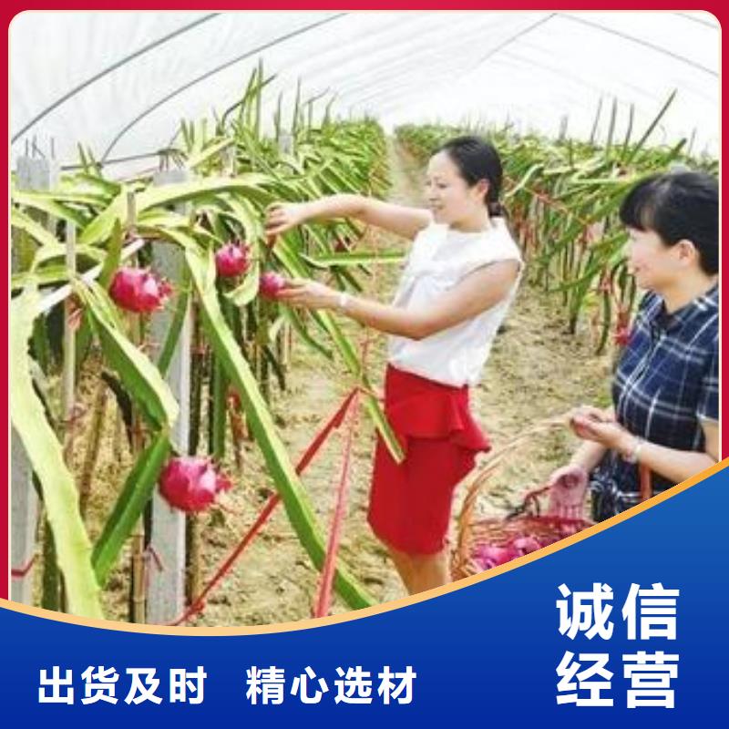 大棚管温室大棚管经销商