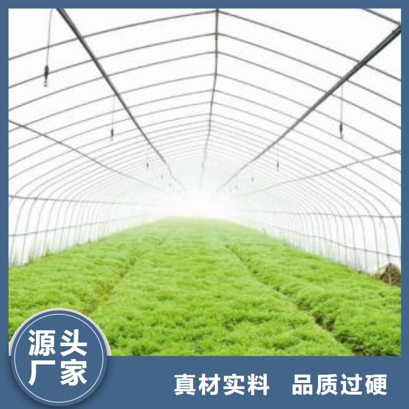 菌菇大棚管品質(zhì)保證2025