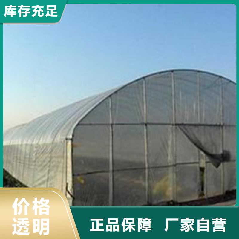 大棚管連棟大棚管專注細節(jié)更放心