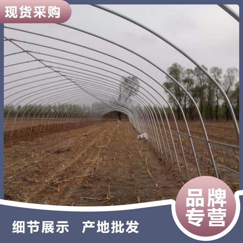 4分6分8分1寸大棚钢管本地厂家