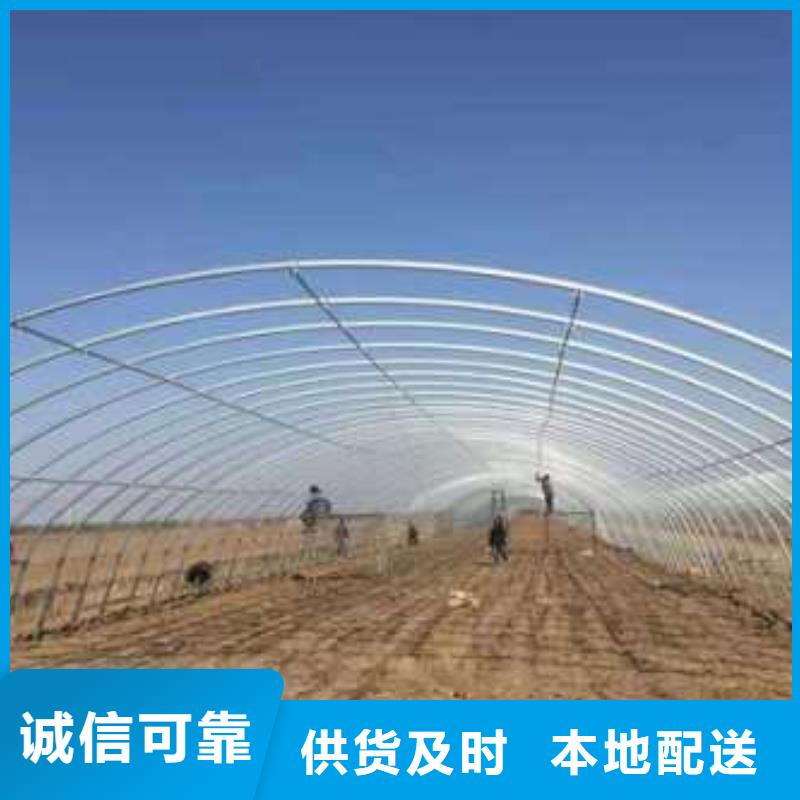 大棚管温室骨架大棚管信誉至上
