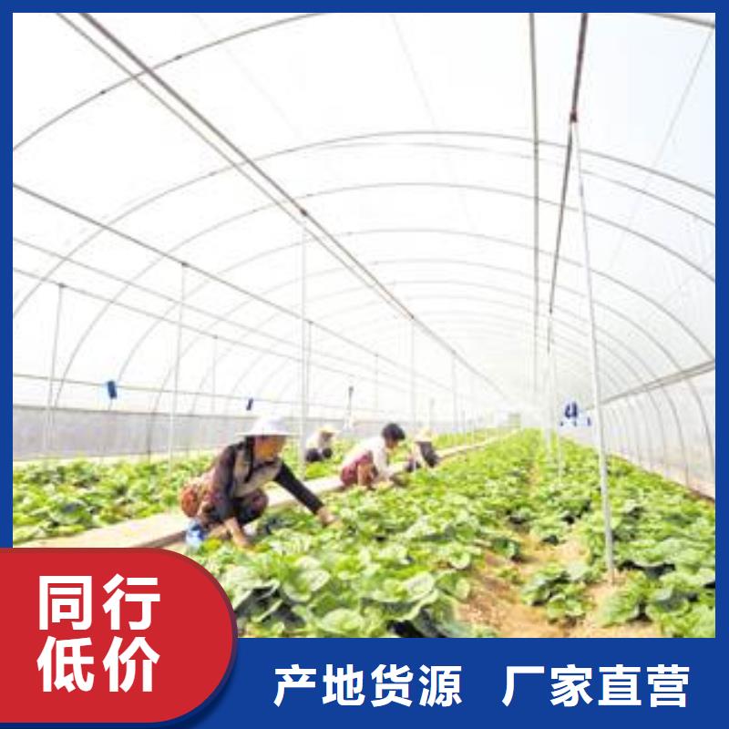 大棚管-大棚管专注品质