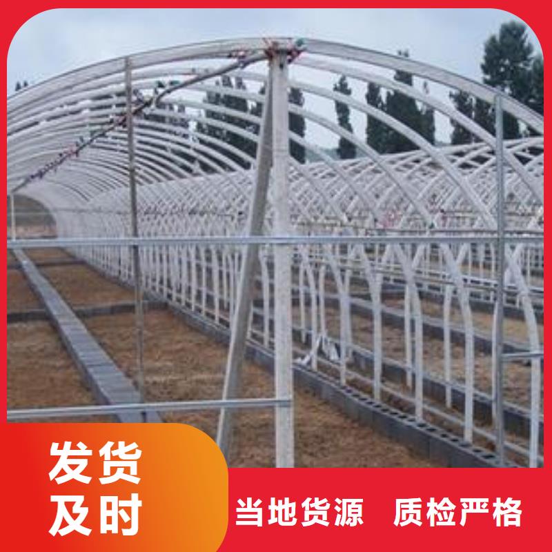 大棚管-方矩管使用寿命长久