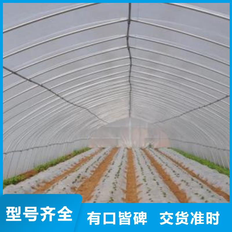 大棚管溫室大棚管合作共贏