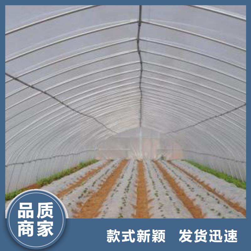 農(nóng)業(yè)用灌溉鍍鋅管報價批發(fā)
