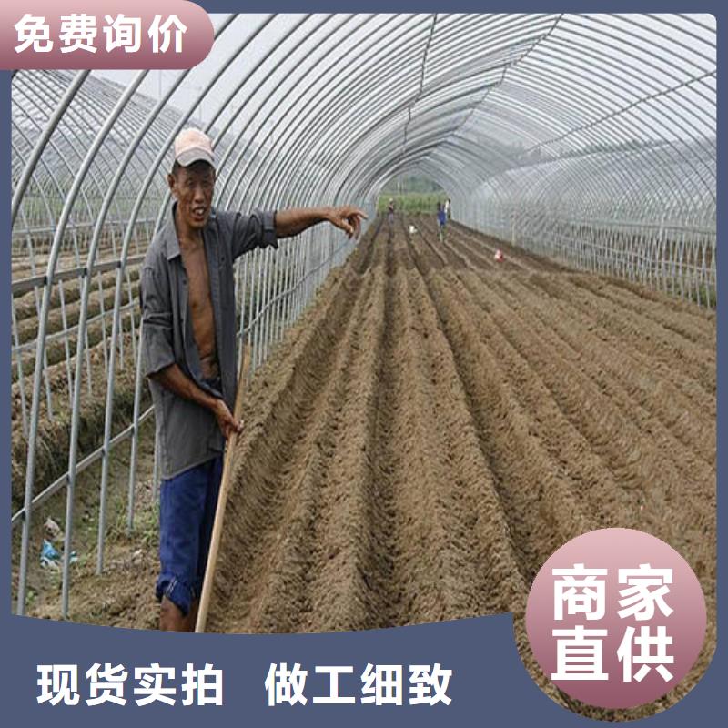 大棚管連棟大棚管品質(zhì)過硬