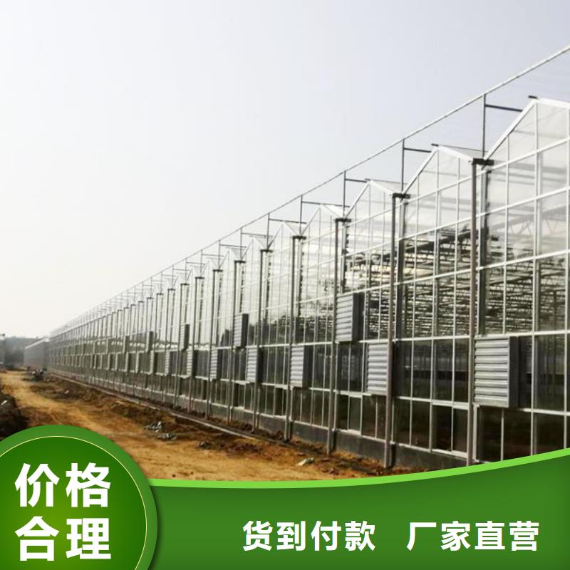 大棚管連棟大棚管品質(zhì)過硬