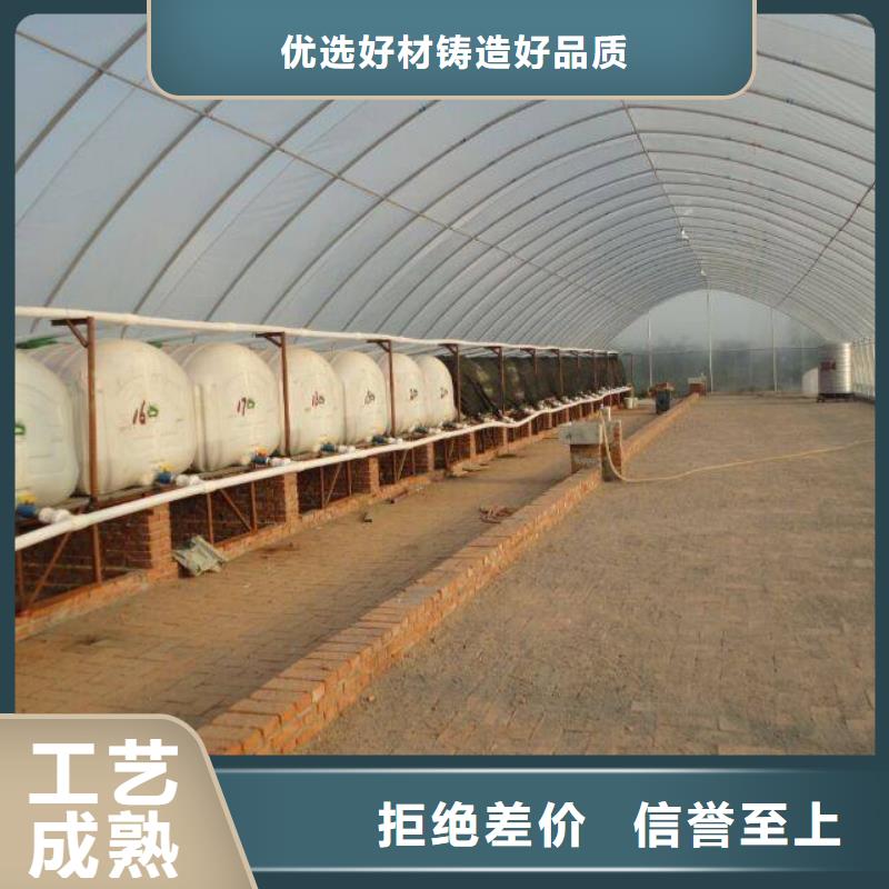 大棚管連棟大棚管品質(zhì)過硬