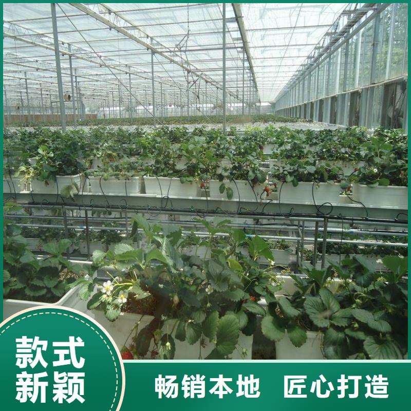 大棚管2_大棚管甄選好物