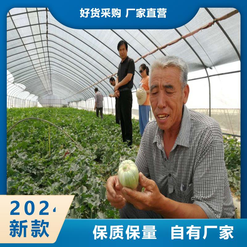 大棚管2【大棚管】多年經(jīng)驗(yàn)值得信賴