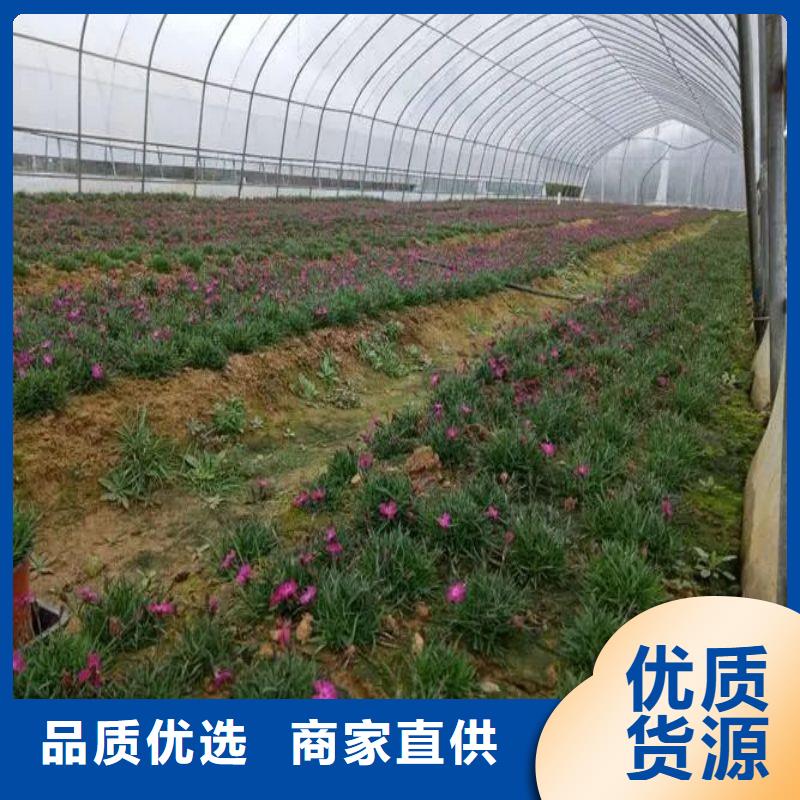 【大棚管2铝管行业优选】
