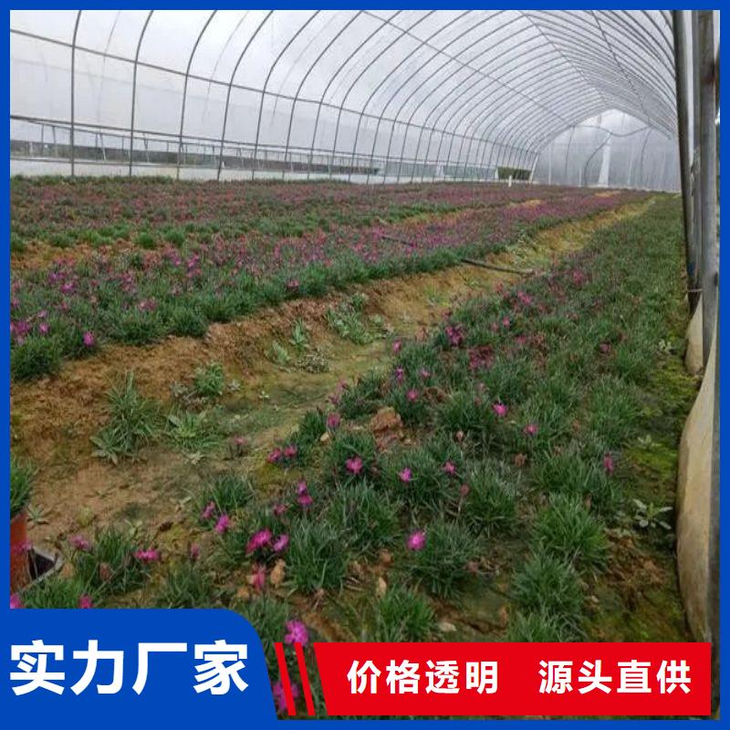 大棚管2農(nóng)業(yè)養(yǎng)殖大棚管海量現(xiàn)貨直銷
