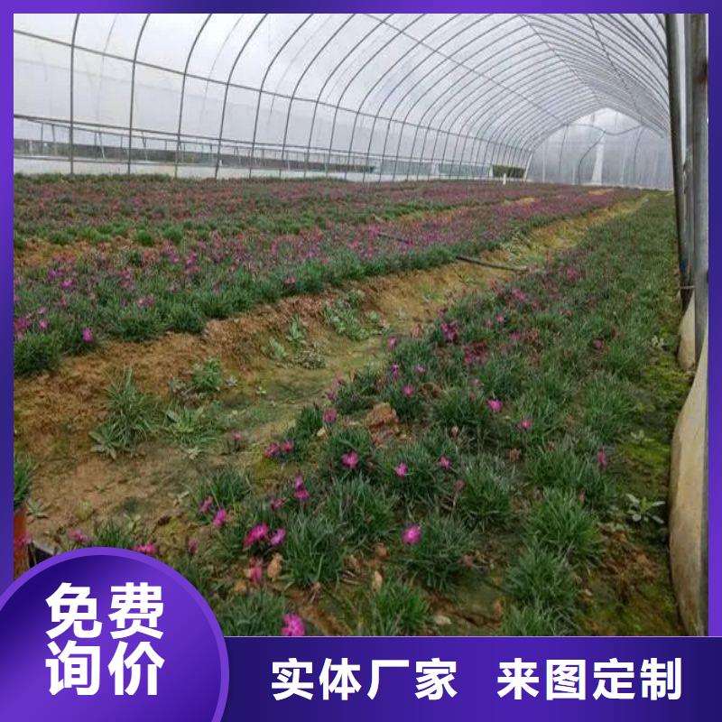 【大棚管2溫室大棚管暢銷本地】