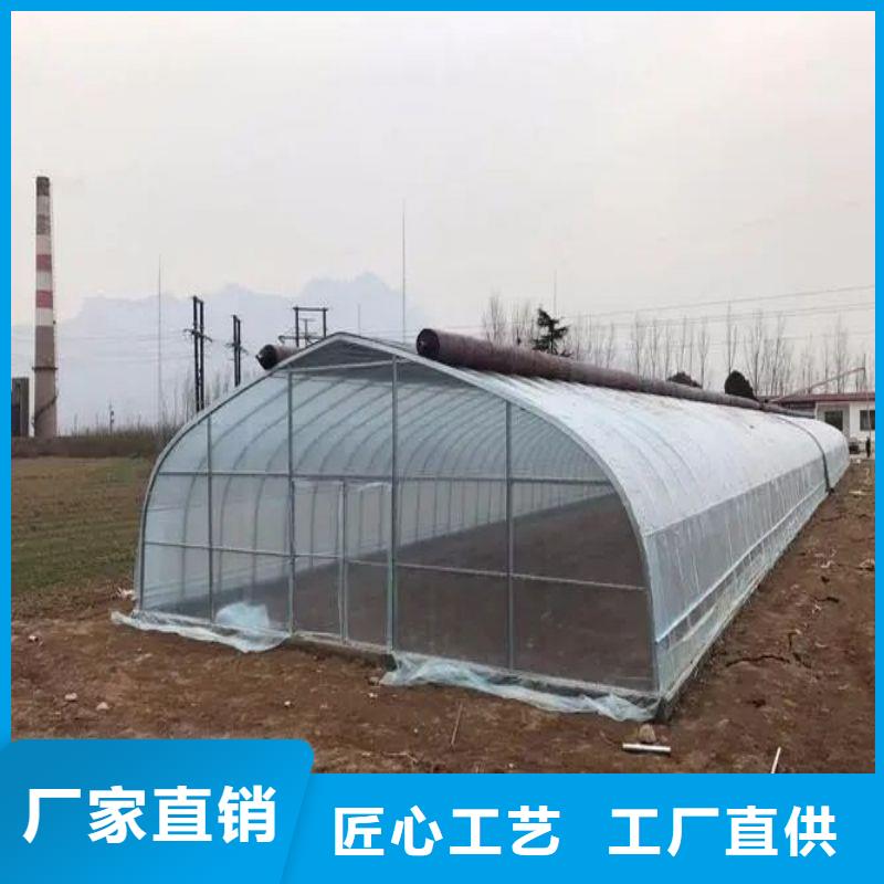 大棚管2大棚管敢與同行比服務(wù)