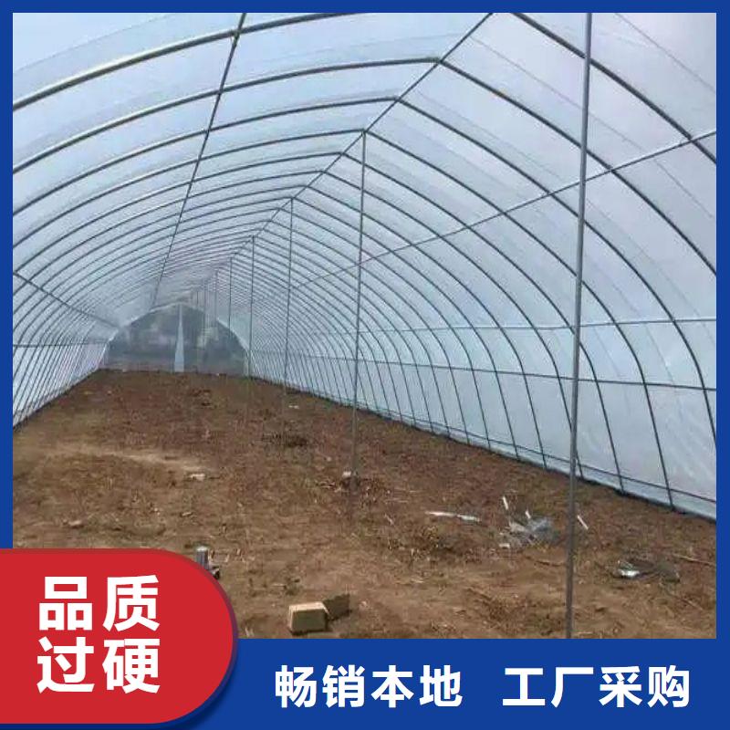 上思县养殖大棚钢管