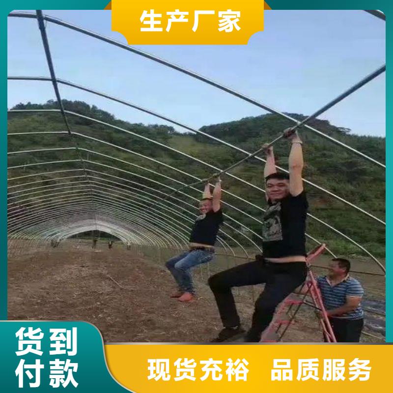 大棚管2溫室大棚管用心制作