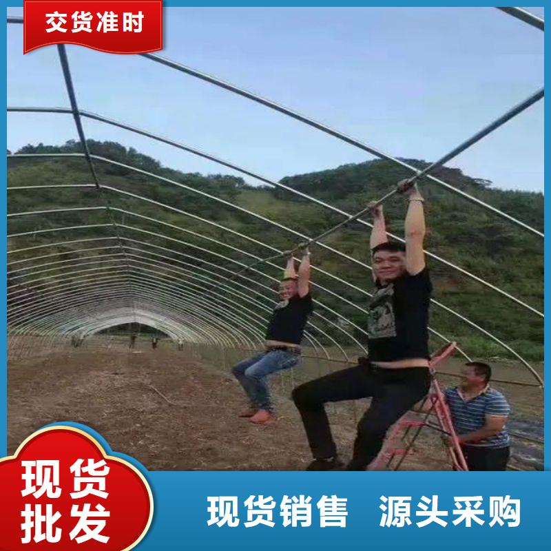 大棚管2大棚管實(shí)力商家供貨穩(wěn)定