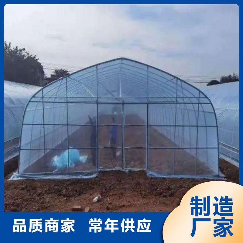 大棚管2溫室大棚管貨真價實