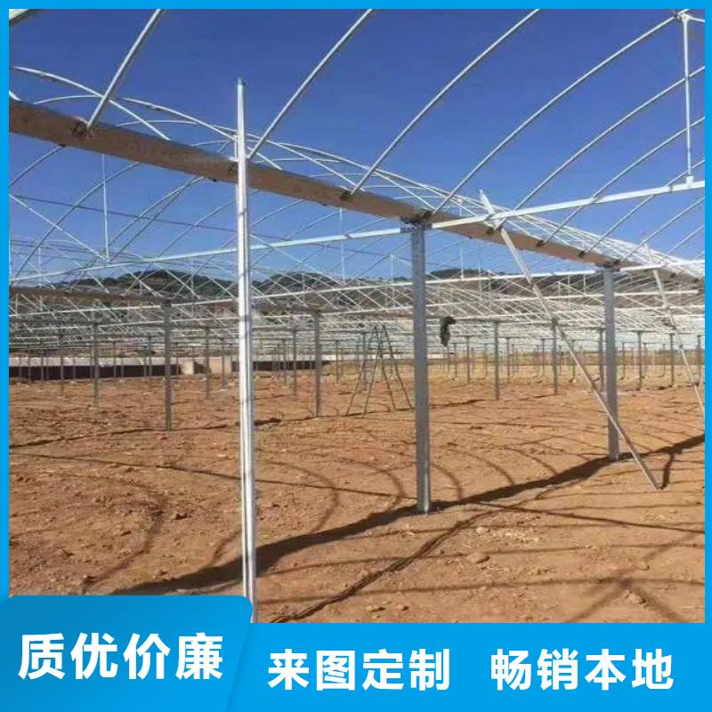 大棚管2連棟溫室搭建工廠直銷