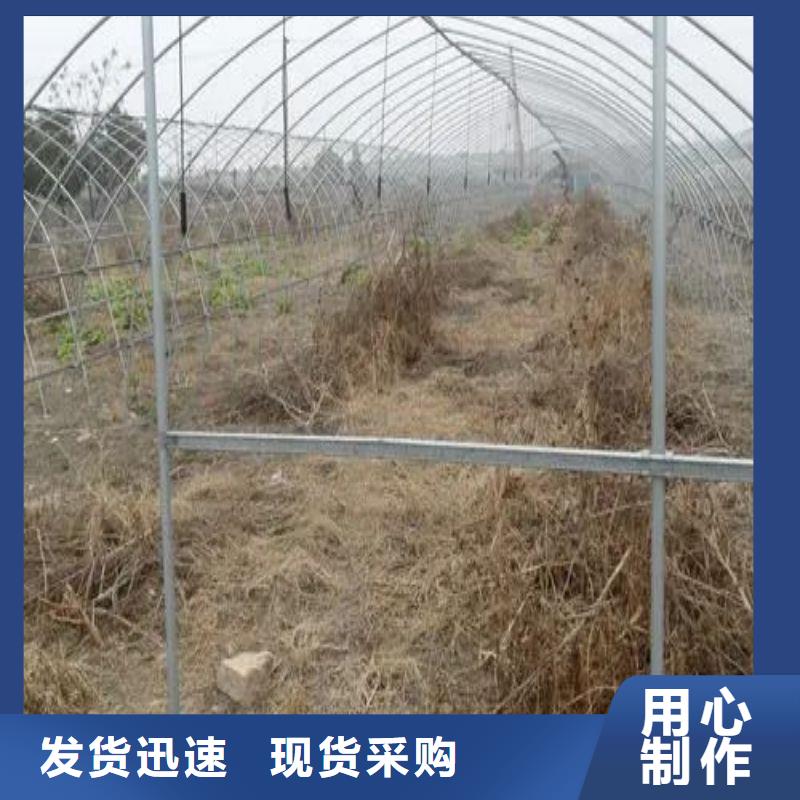 大棚管2_大棚管廠家廠家直發(fā)