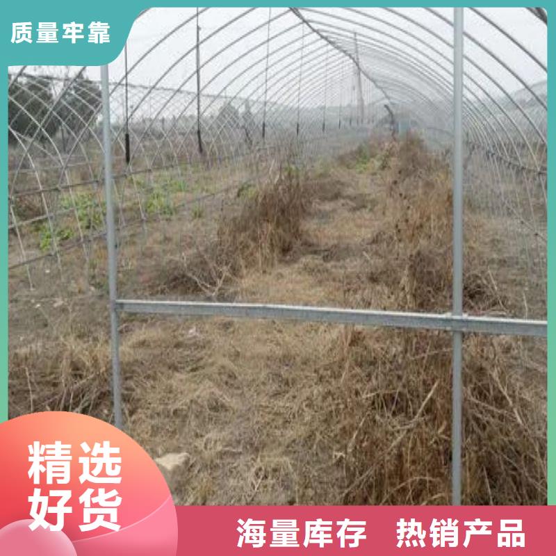大棚管2_ 大棚管海量貨源
