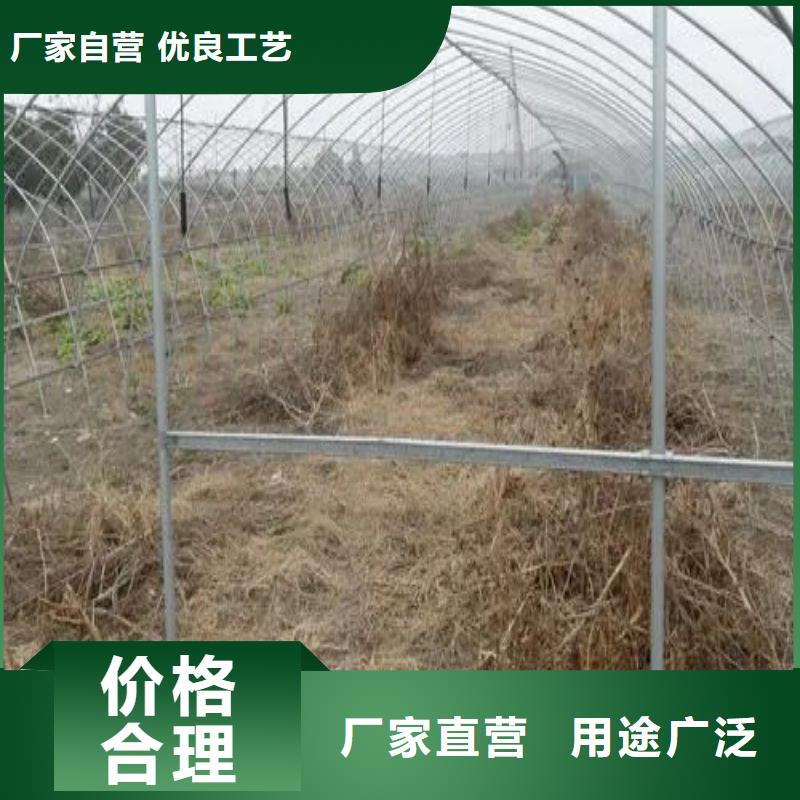 大棚管2_大棚管甄選好物