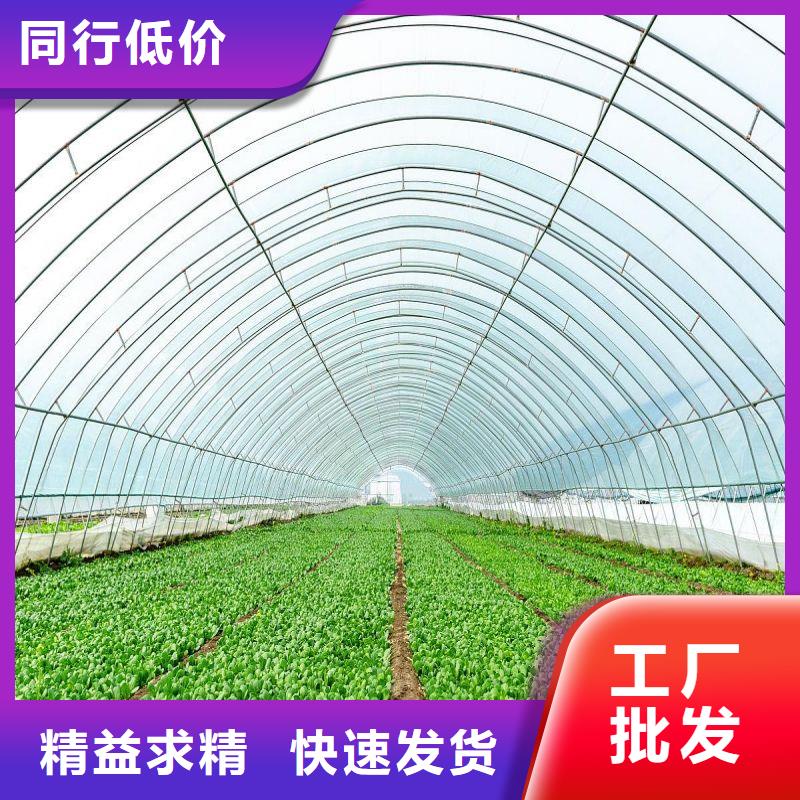 大棚管2_温室大棚管厂家直销值得选择