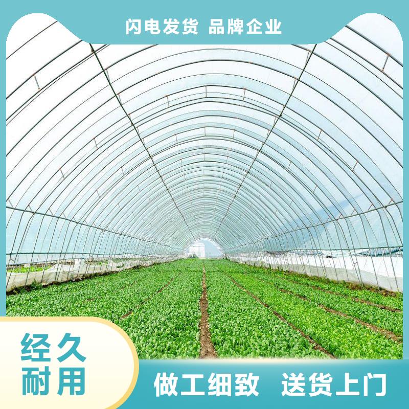 大棚管2-橢圓管溫室大棚專注生產(chǎn)N年