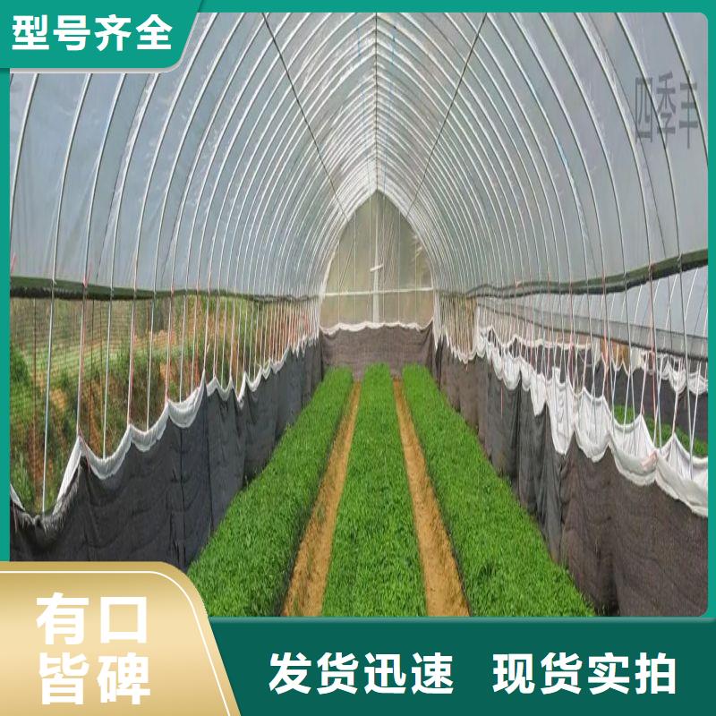 縣連棟鍍鋅鋼管發(fā)貨快
