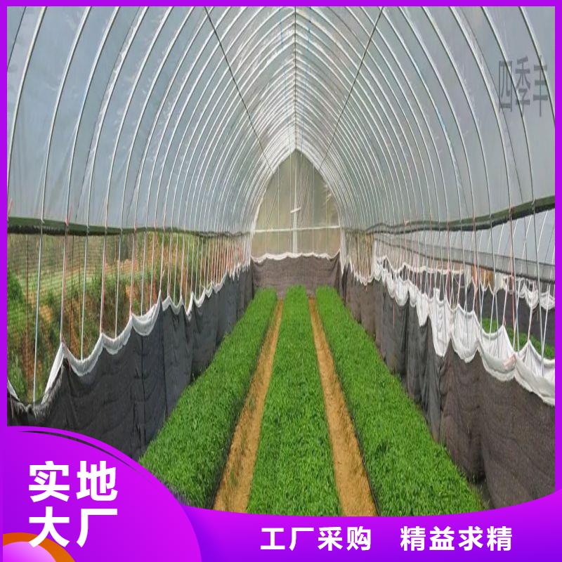 大棚管2橢圓管溫室大棚大量現(xiàn)貨供應