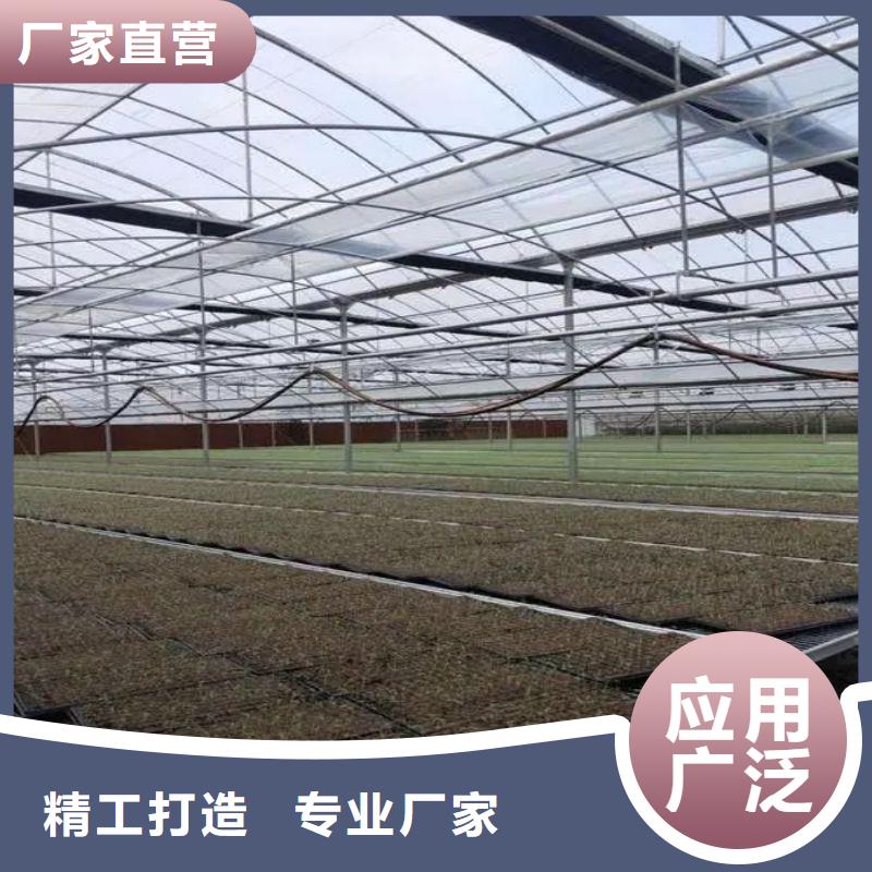【大棚管2大棚管品質(zhì)值得信賴】