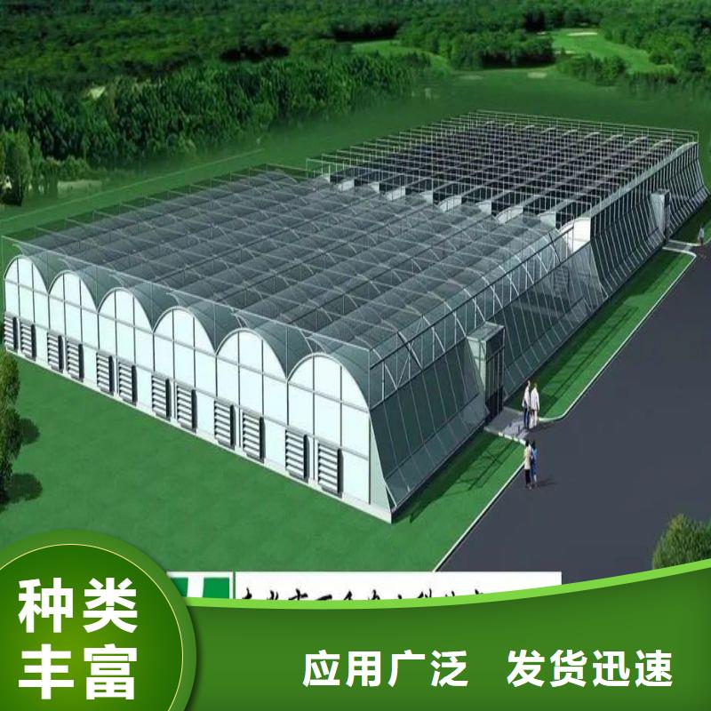 大棚管2連棟溫室搭建工廠直銷