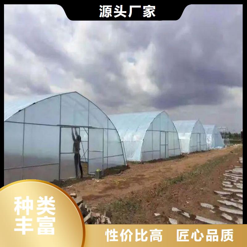上思县养殖大棚钢管