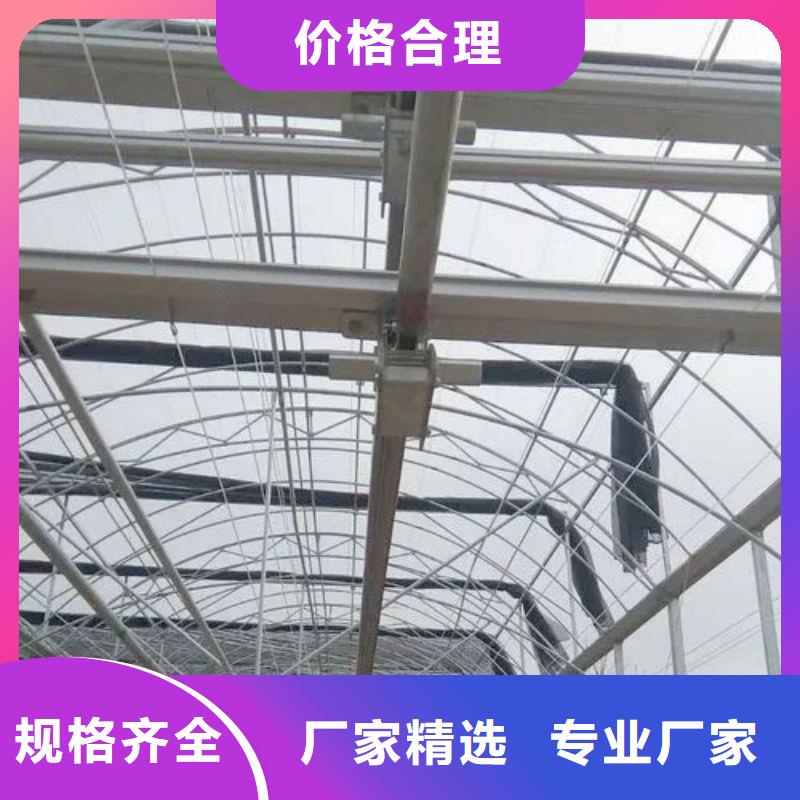 相城連棟溫室大棚價(jià)格行情