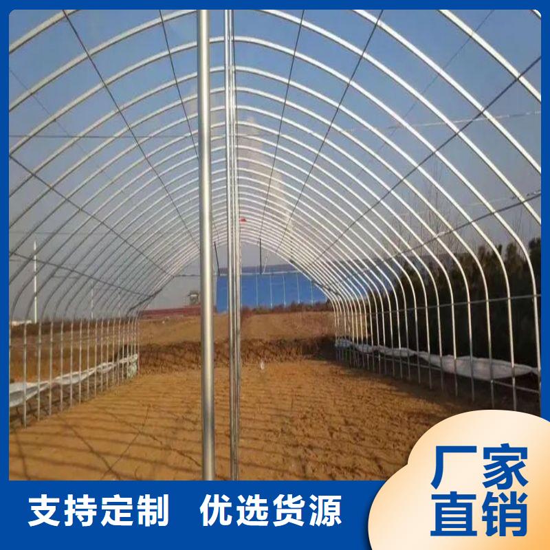 雙清區(qū)熱鍍鋅西瓜大棚管種植基地