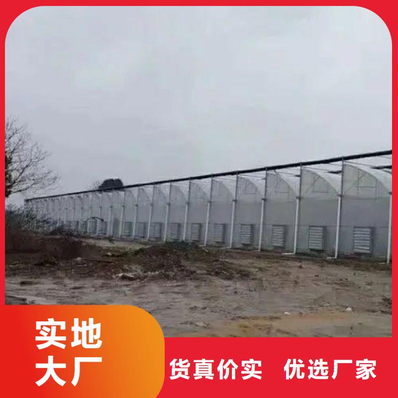 大棚管2温室大棚管打造行业品质