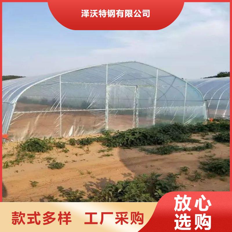 大棚管2農(nóng)業(yè)養(yǎng)殖大棚管本地廠家值得信賴