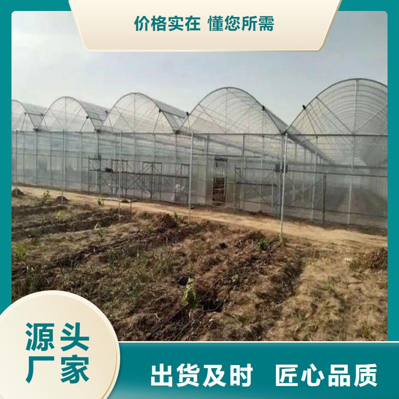 大棚管2溫室大棚管打造行業(yè)品質(zhì)